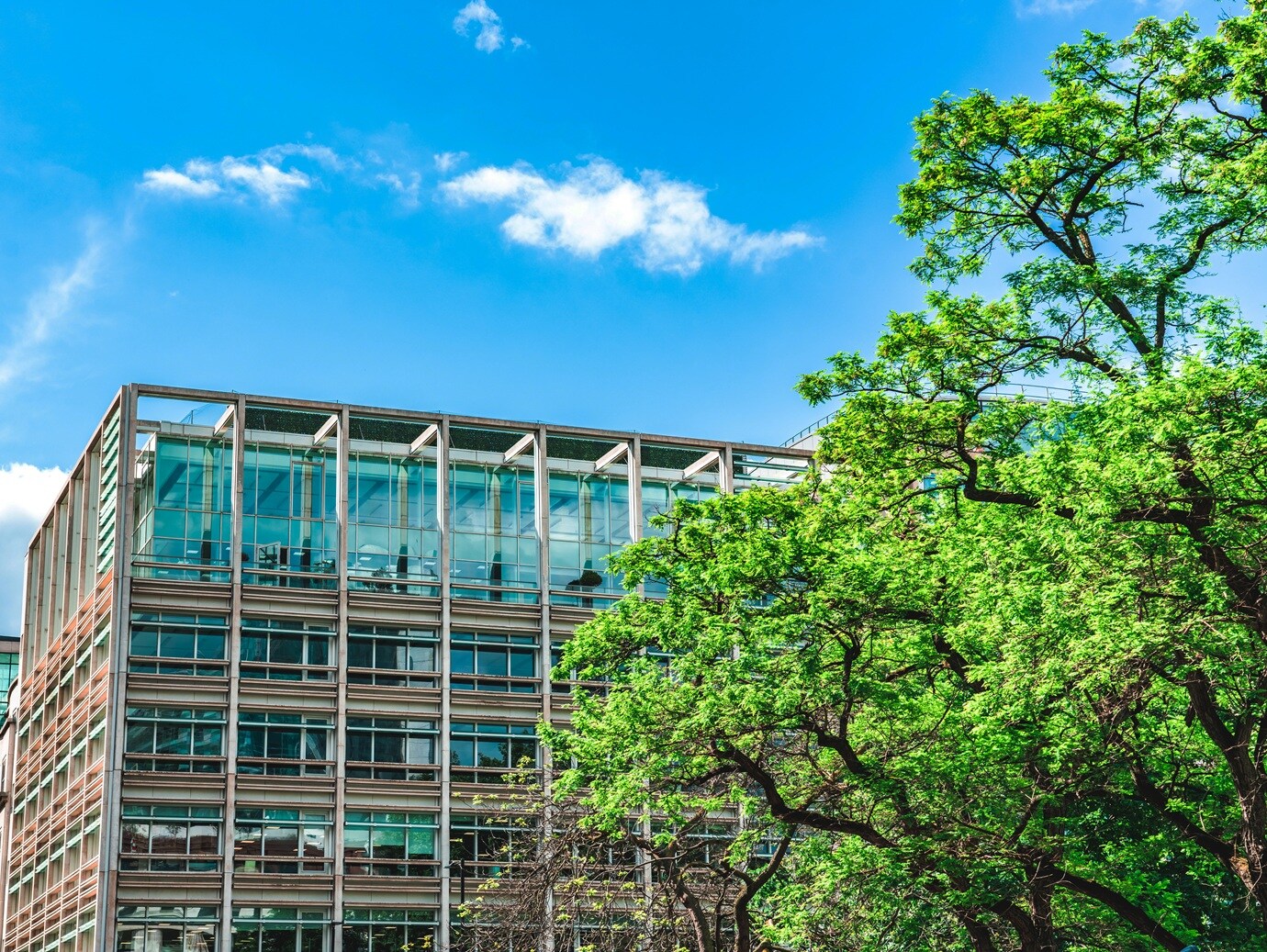 An image of a commercial building surrounded with trees