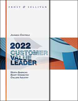 Insight cover of Customer value leader - 2022 